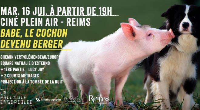 Bannière web Reims 2024 Babe le cochon