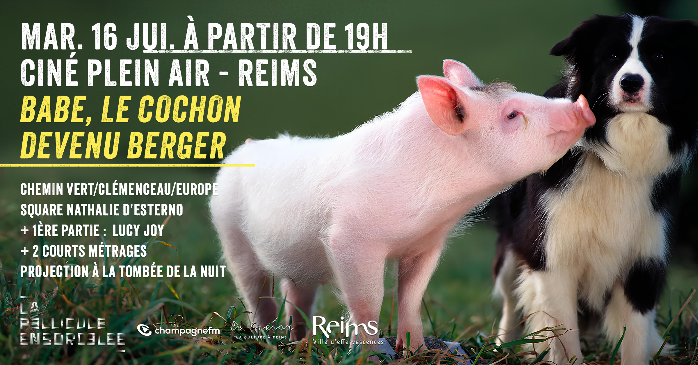 Bannière web Reims 2024 Babe le cochon