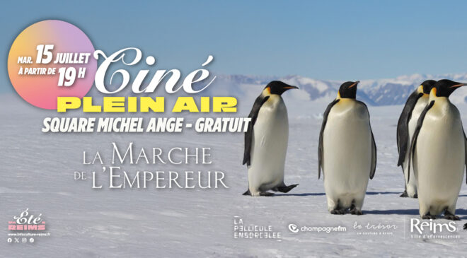 banniere manchot