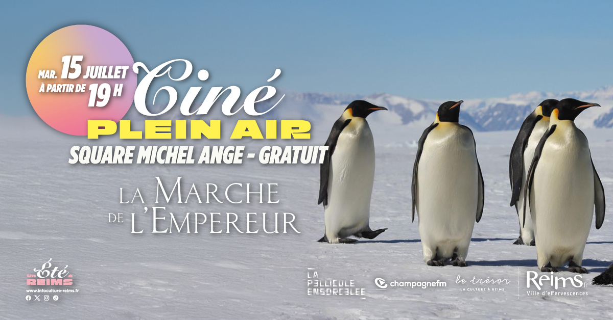 banniere manchot
