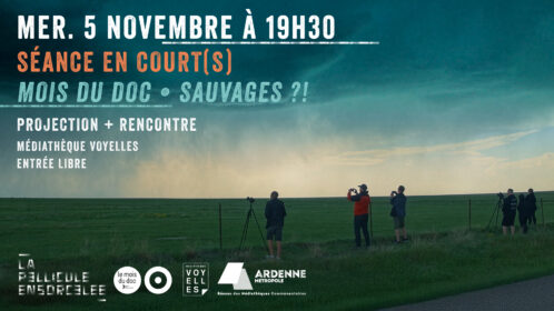banniere sec novembre sauvages