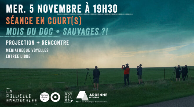 banniere sec novembre sauvages