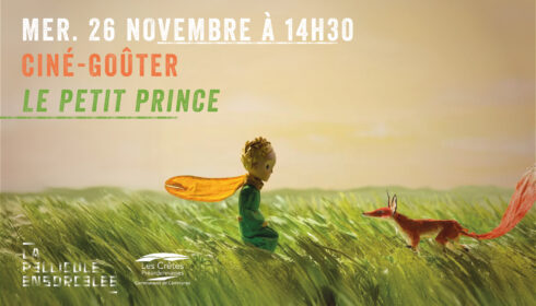 banniere petit prince chaumont