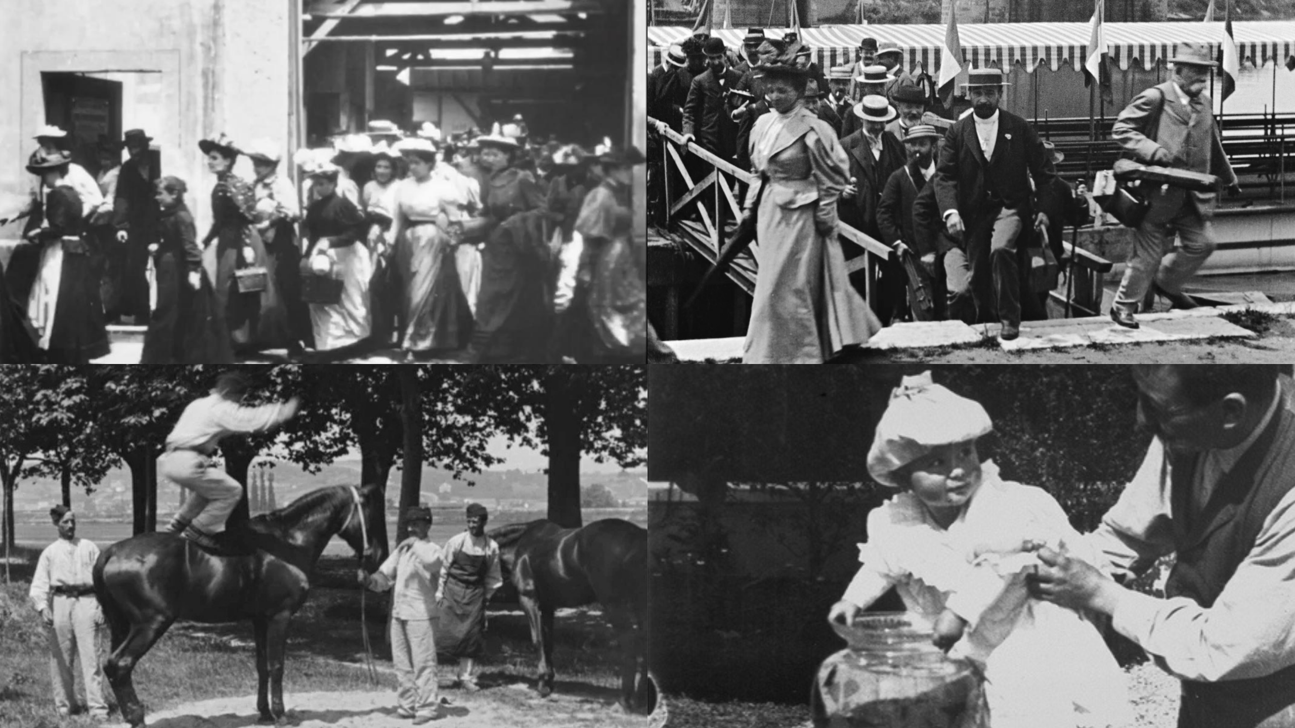 banniere louis lumiere